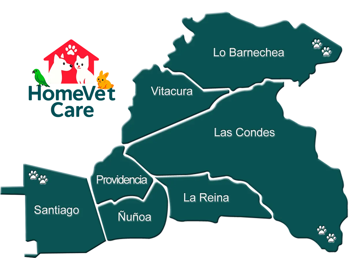 Cobertura Veterinaria